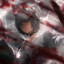 Head Manager, Kasuga