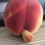 长春高新大呲花