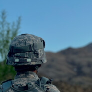 皮燕子生蛆沾翔嗦