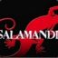 &lt;-Salamander-&gt;