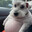 Noby_Nobre