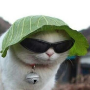 CatTheLettuce