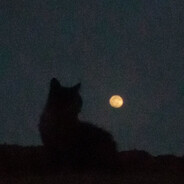 𝑲𝒓𝒎𝒐𝒇𝒇