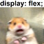 Xlebo