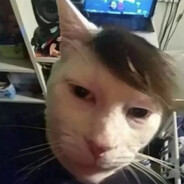 今晚八点来打怪