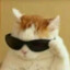 meow
