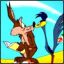 Roadrunner641
