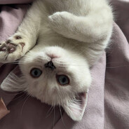 последний день