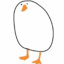 duck