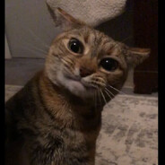 ABU - steam id 76561199884658560