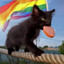 Mr-_-GaY #aljewriaforever