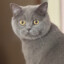 batya