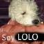 SoyLolo (Ahora Pateado)