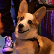 打完这把就睡觉