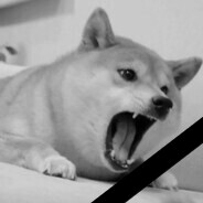 vixfs - steam id 76561198340171577