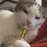 Geek Bar Dropshipper