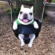 kittymeay - steam id 76561199680444073