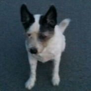 suplix - steam id 76561197960899393
