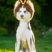 落地率先倒地，激发队