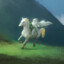 sHaDoWfAx -