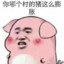 流氓猪