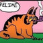feline