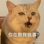 半夜偷猪吗？