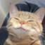 пенис дрилдо's avatar
