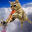 CatInTheSmoke