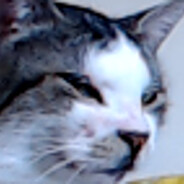 rkrkity avatar