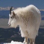 No Matter - steam id 76561197960287198