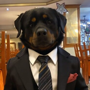 BY     A  L  F  A 60hz