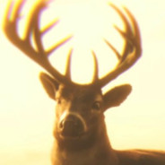 我是撕葱我也有性病