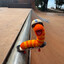 worm