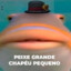 PEIXE GRANDE CHAPEU PEQUENO