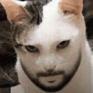 catman