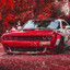 Dodge