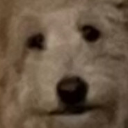 WALLBRANCH - steam id 76561197965504591