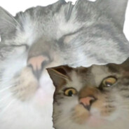 吃啥了好想吃点啥