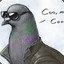 pigeon hamameh