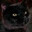 Zachary Binx