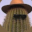 No1Cactus