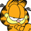 Garfield G4Skins