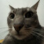 GrayByte