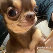 ЖЕРТВА АБОРТА