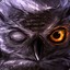 ♛LOOK_ITS_OWL♛