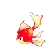 immerYu (不打apex版)