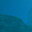 Steam avatar of 🐡 ๖ۣۜAngry ๖ۣۜDiodon