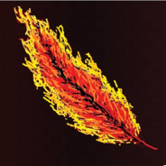 Fire Feathers