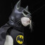 Bat Cat